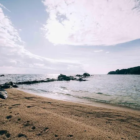 Reformado En A 1 Minuto De La Playa *
